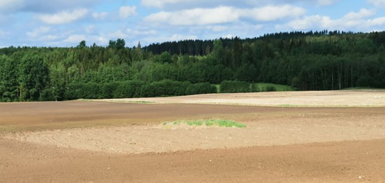 Åkerlandskap i Innlandet