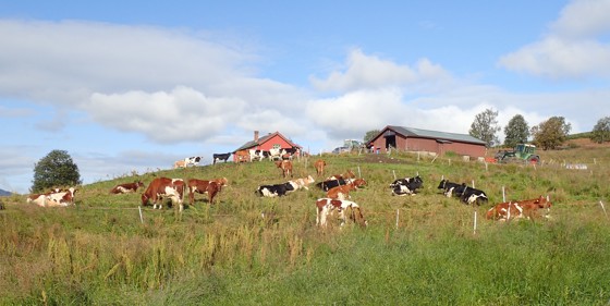 Støl i Valdres