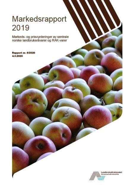 Markedsrapport 2019 - Regjeringen.no