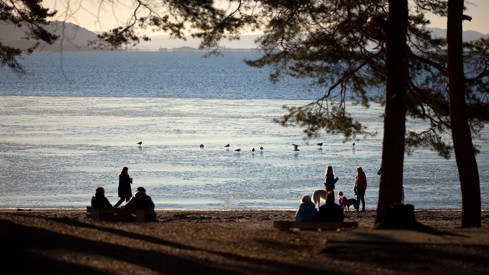 Mennesker på en strand i solnedgang