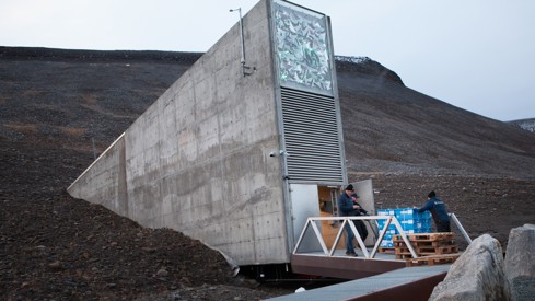 Frøkvelven på Svalbard