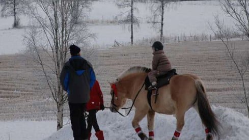 Vinter i Maridalen.