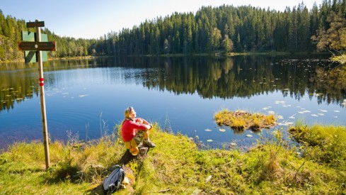 Fra Skjennungen i Nordmarka