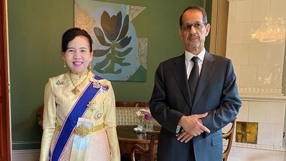 Bilde av to ambassadører stående