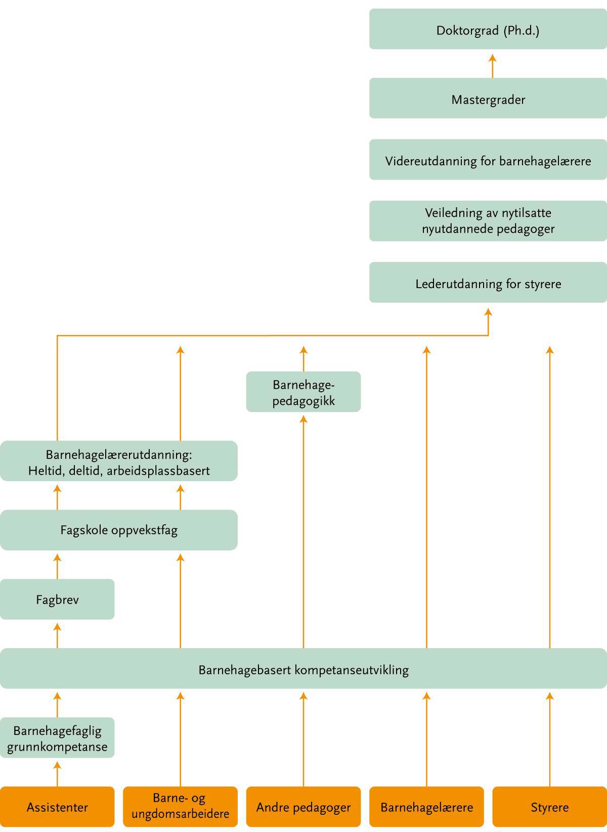 Kompetanse For Fremtidens Barnehage - Regjeringen.no