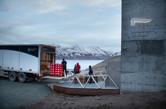 Deponering på Svalbard