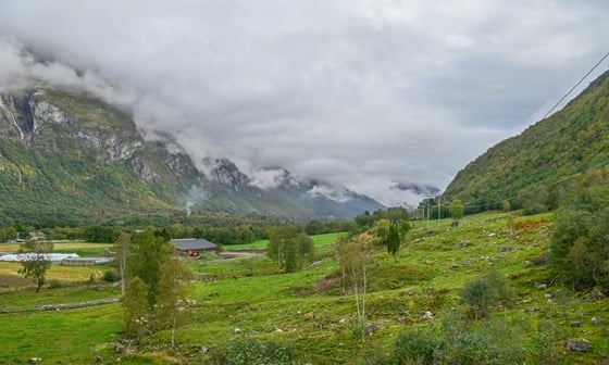 Utsikt utover beoiteområde bakom fjøset. Foto: Statsforvaltaren i Møre og Romsdal/ Ragnhild N. Aas