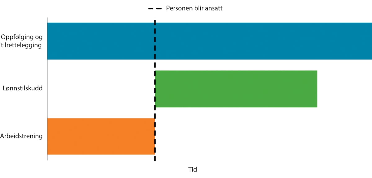 Figur 5.6 Eksempler på tiltaksløp hos arbeidsgiver