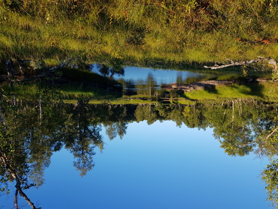 Bilde fra utvidelsesområdet i Blåfjella-Skjækerfjella/Låarte-Skæhkere nasjonalpark.