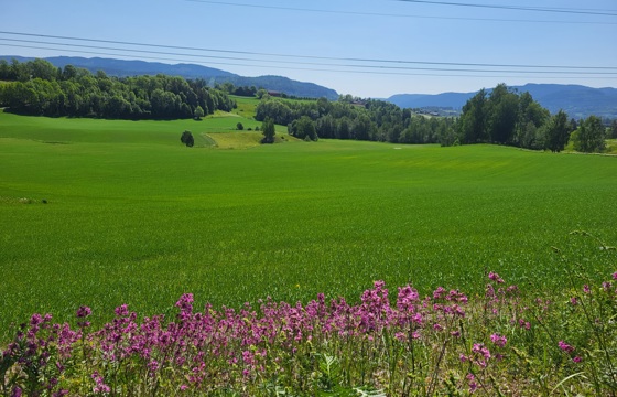 Jordbruk i Akershus, Buskerud, Oslo og Østfold