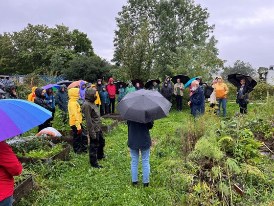 Folkeansamling i regnet