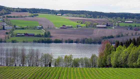 Landbruk på Hadeland.