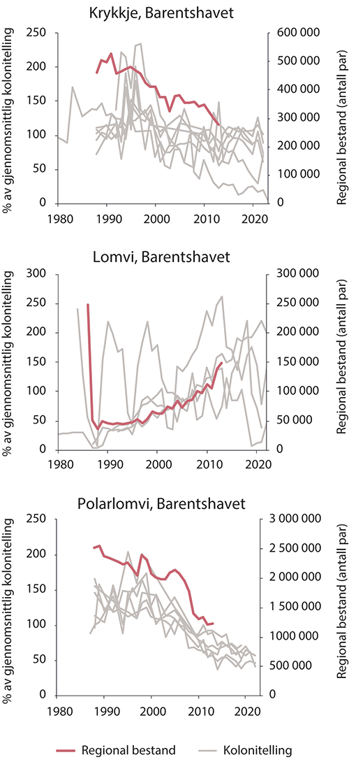 Figur 3.6 Sjøfuglbestander i Barentshavet. Bestandsutvikling for krykkje, lomvi og polarlomvi. Tykk rød strek viser estimert bestandsstørrelse, tynne grå streker viser bestandsovervåking i enkeltkolonier.