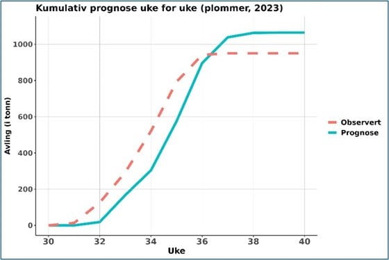 Avlsprognose for plommer veke for veke. Prognosen viser at avlinga steig betydeleg i veke 36-40 