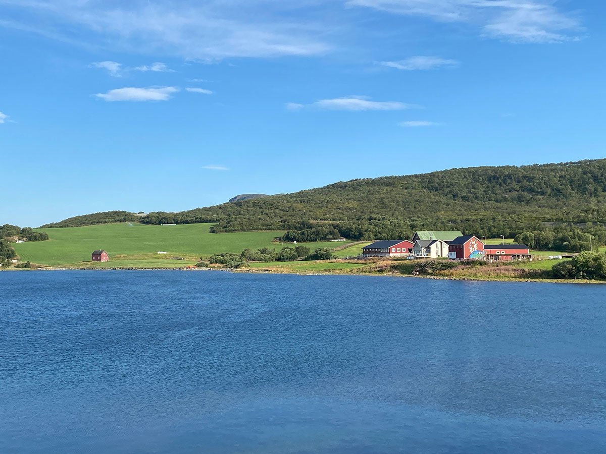 Figur 11.1 Verdens nordligste melkebruk i Bekkarfjord