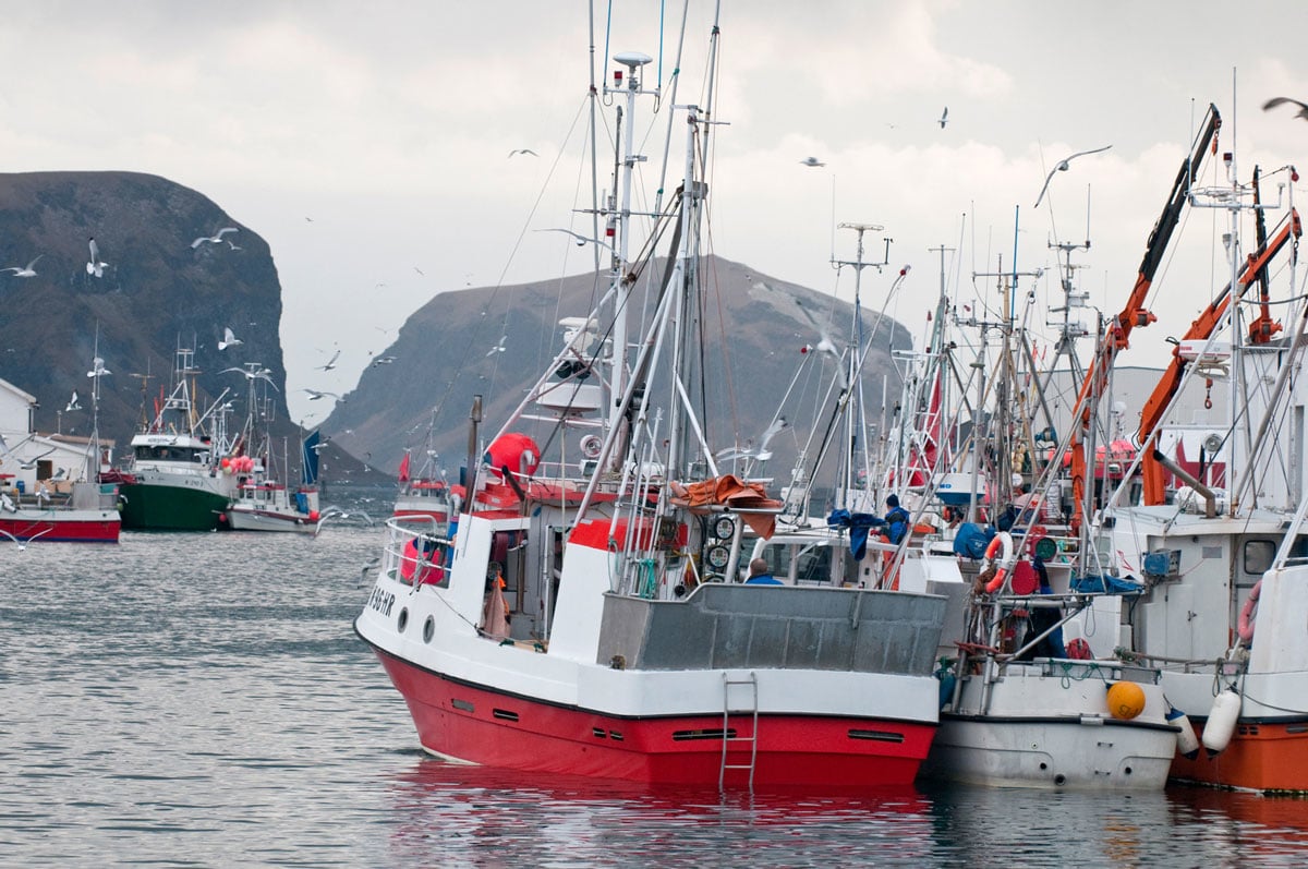 Figur 3.2 Fiskebåter på Røst i Lofoten