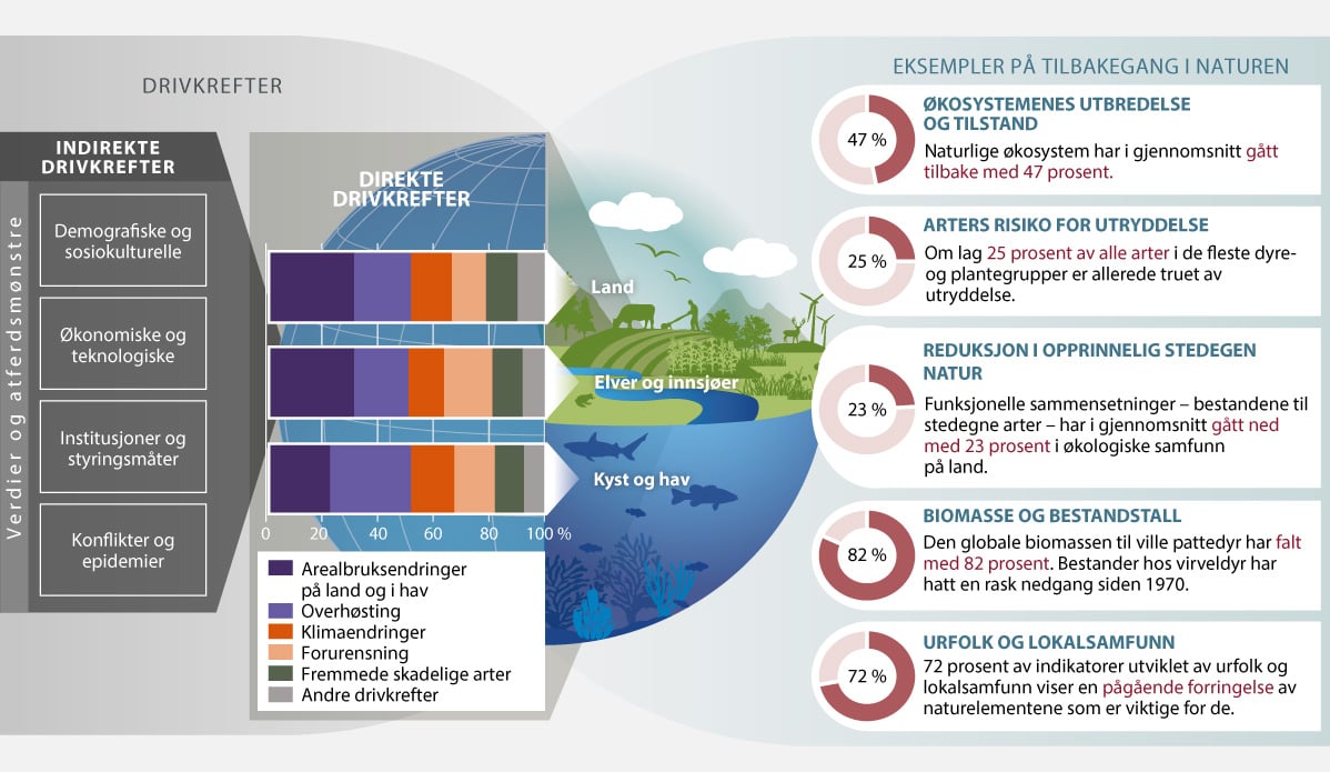 Figur 2.1 Eksempler på globale forandringer i naturen