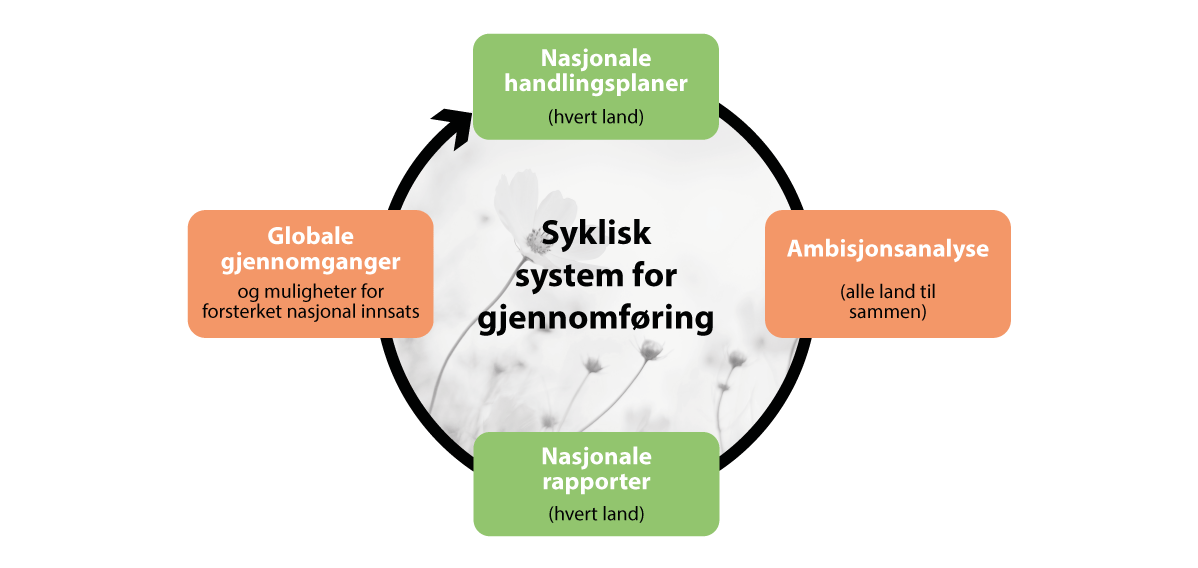 Figur 2.4 Syklisk system for gjennomføring