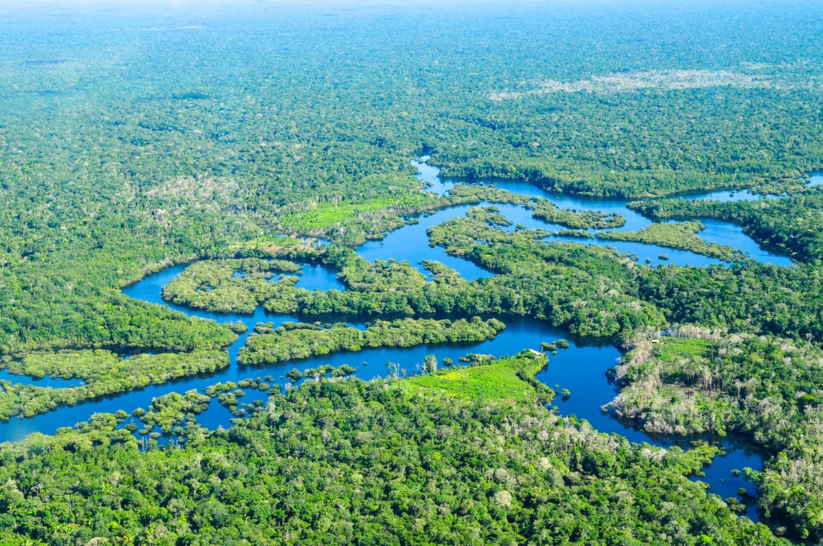 Figur 4.6 Amazonas-regnskogen nær Manaus i Brasil