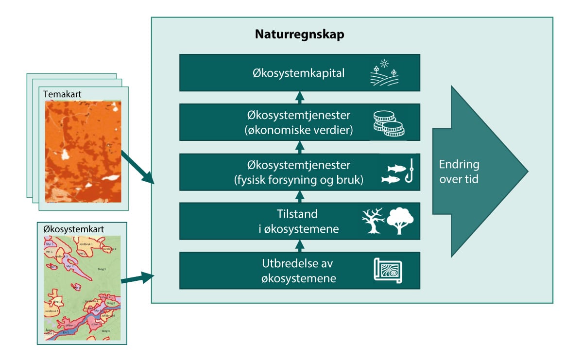 Figur 5.2  Elementene i FNs naturregnskap 