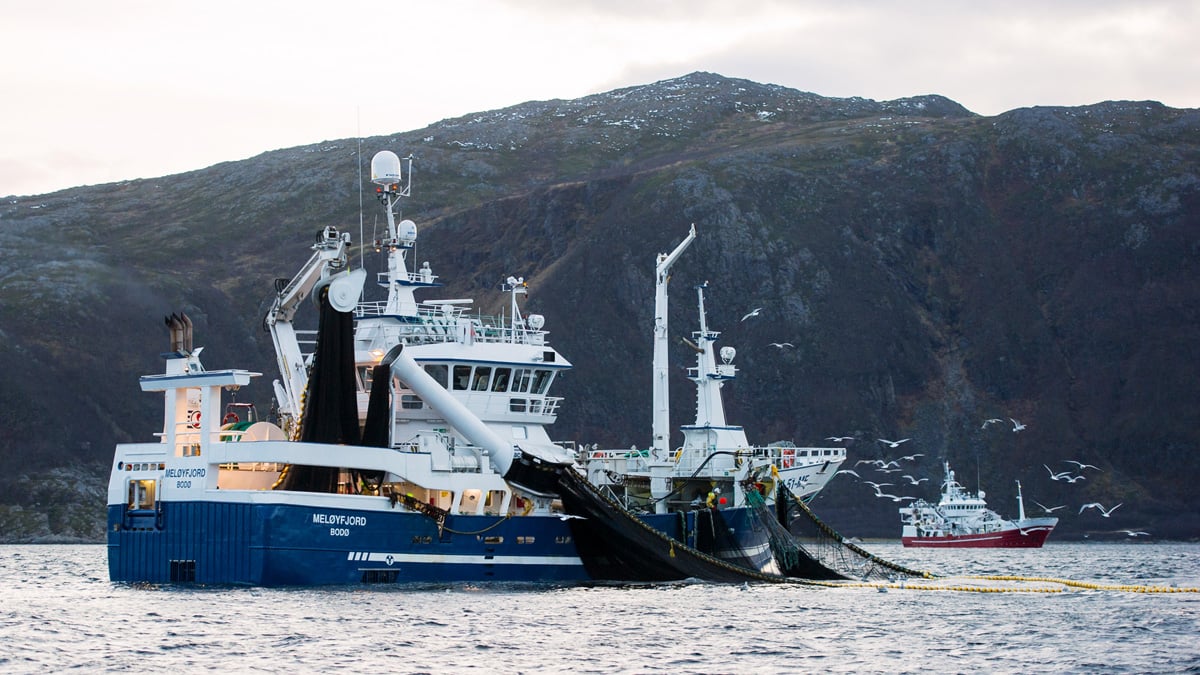 Figur 6.18 Fiskerier langs kysten av Troms