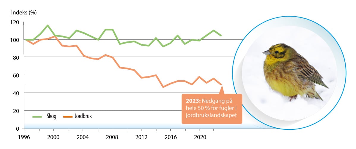 Figur 6.19 Bestandsutvikling for hekkefugl i skog og jordbrukslandskap