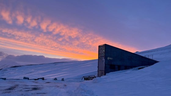 The entrance to the seed vault in a sunny dawn on the 15th anniversary. 28/2/2023.