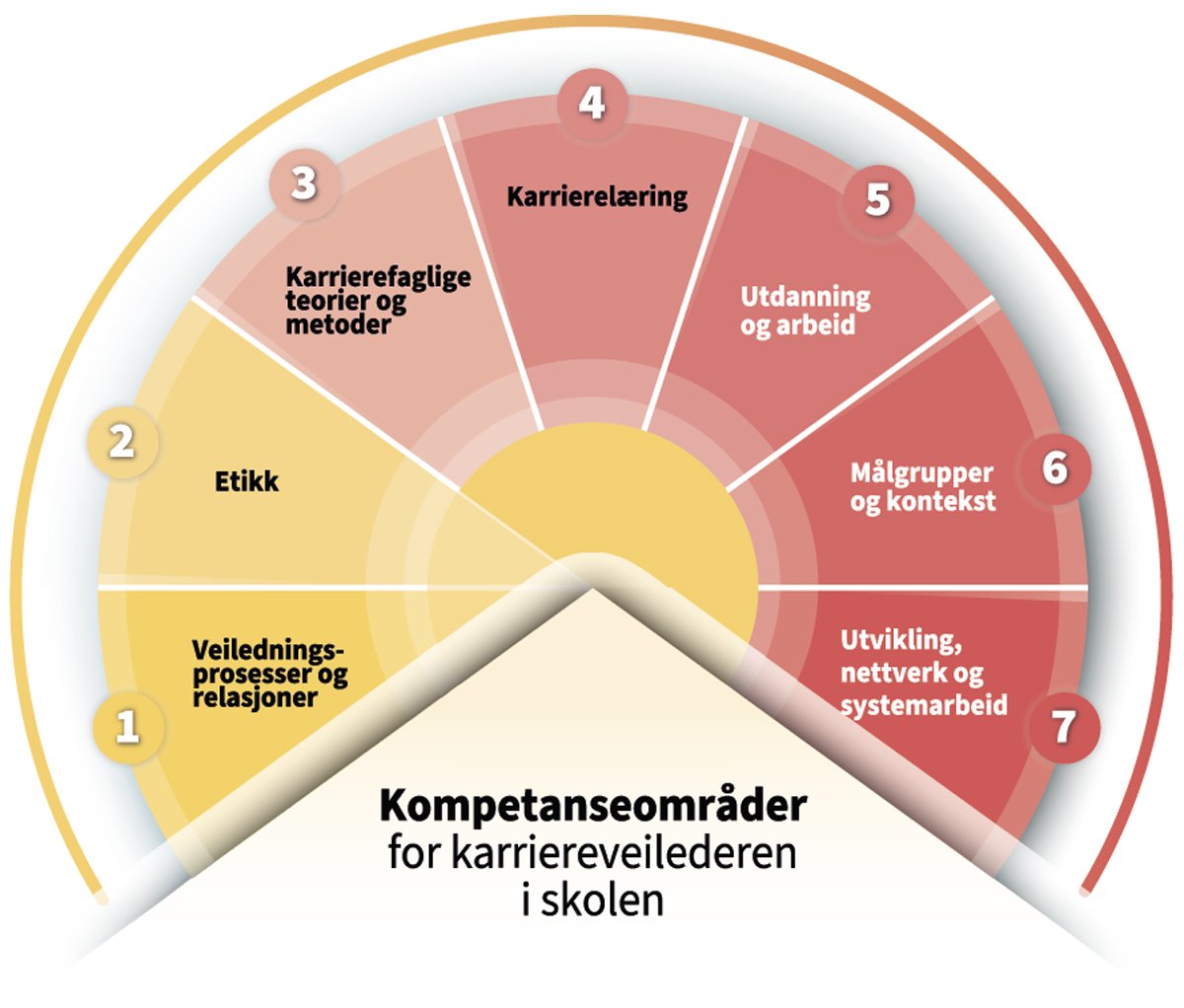 Figur 6.1 Kompetansestandarder for karriereveileder i skolen