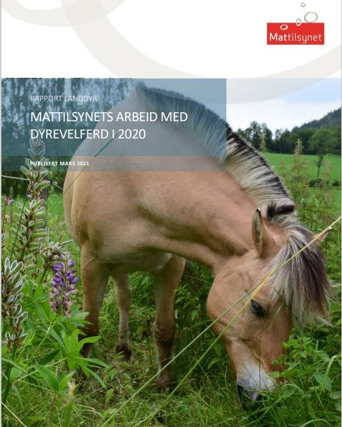 Årsrapport Landdyr - Mattilsynets arbeid med dyrevelferd i 2020