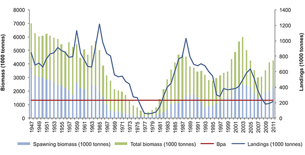 Figure 3.12 Changes in the spawning stock and catches of North Sea herring, 1947–2011. Bpa: precautionary spawning stock reference point.
