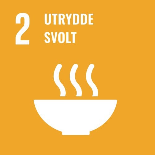 Illustrasjon for bærekraftsmål 2: Utrydde svolt