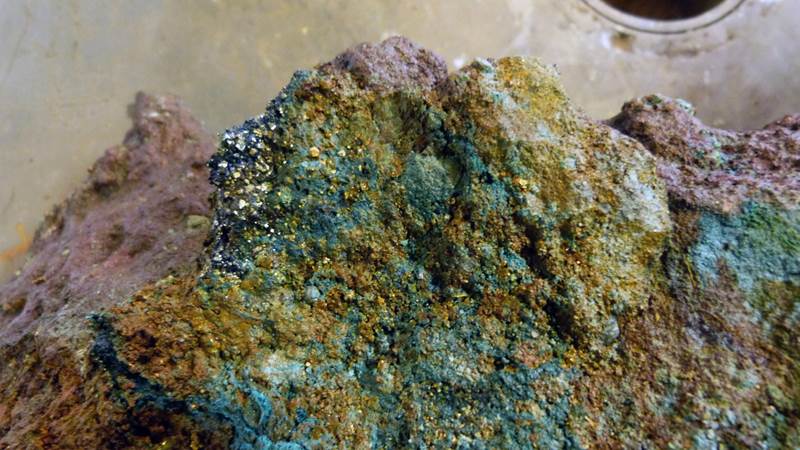 Picture of seabed minerals. 