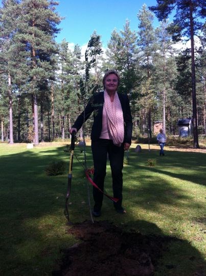Statsråd Rigmor Aasrud planter et tre på Morokuli