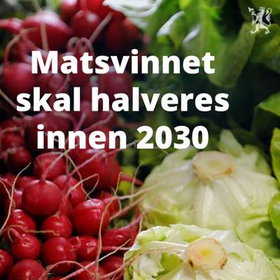 Matsvinnutvalget overleverer sin rapport.