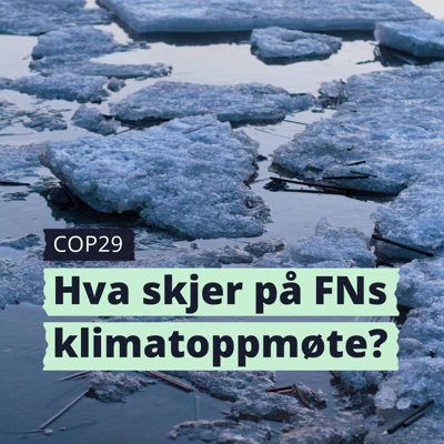 Smeltende is på vann med teksten "COP29: Hva skjer på FNs klimatoppmøte?"