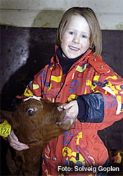 Kalv og barn, Foto: Solveig Goplen, Geno