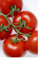 Tomater, Foto: Jan Djenner, Samfoto