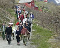 Steif i Hardanger. Foto: Oscar Puschmann