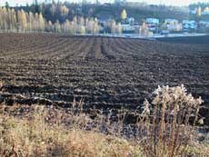 Norsk matjord er en begrenset ressurs som det er et nasjonalt ansvar å ta vare på for våre etterkommere. Foto: Miljøverndepartementet.