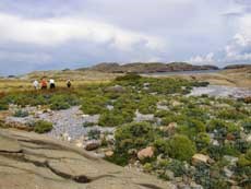 Hoftøya - Ormø Færder. Foto: Fylkesmannen i Telemark.