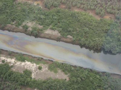 Miljøødeleggelser Nigerdeltaet