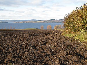 Mattrygghet: Åkerlandskap