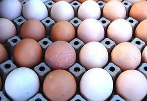 Landbruk: Egg på brett