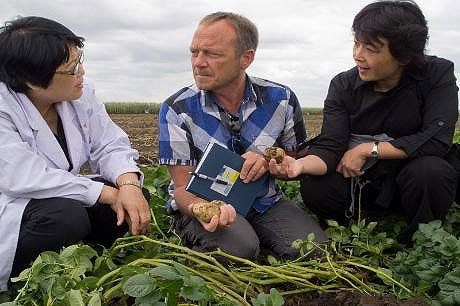 Arne Hermansen ved Bioforsk Plantehelse på HAAS sitt potetforsøksfelt, med direktør Xuezhan Li (venstre) og forsker Mei Guo til høyre.