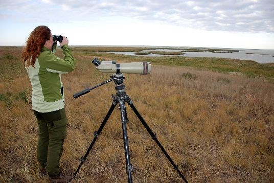 Statssekretær Heidi Sørensen ser på trekkfugler i naturreservatet Korgalzhyn i Kasakhstan. (Foto: Marianne Gjørv.)