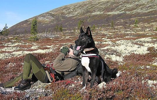 Jeger og hund på jakt